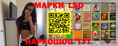 сатива Новозыбков
